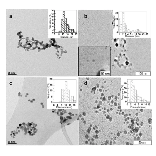 Micrografie TEM Micrografie TEM